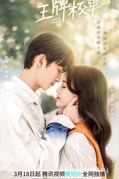 Nam Thần Số Một (Campus Ace)