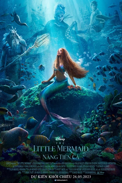 Nàng Tiên Cá (The Little Mermaid)