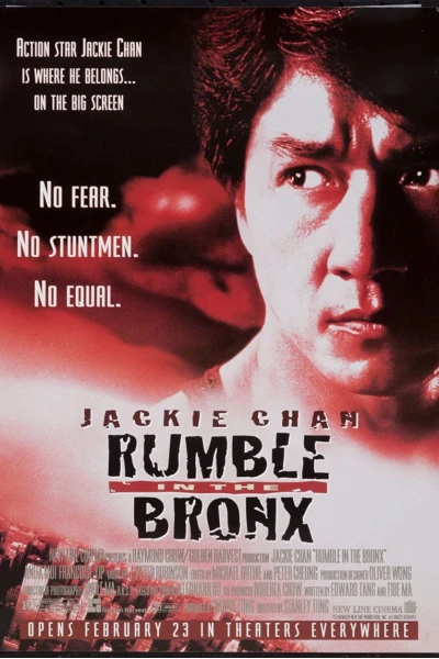 Náo Loạn Phố Bronx (Rumble in the Bronx)