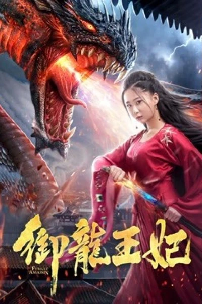 Ngự Long Vương Phi (Female Assasin)