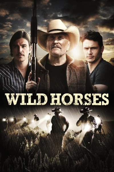Ngựa Hoang (Wild Horses)