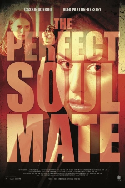 Người Bạn Tâm Giao (The Perfect Soulmate)