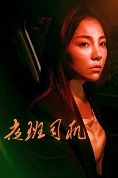 Người lái xe vào ca đêm (Driver on Night Shift)