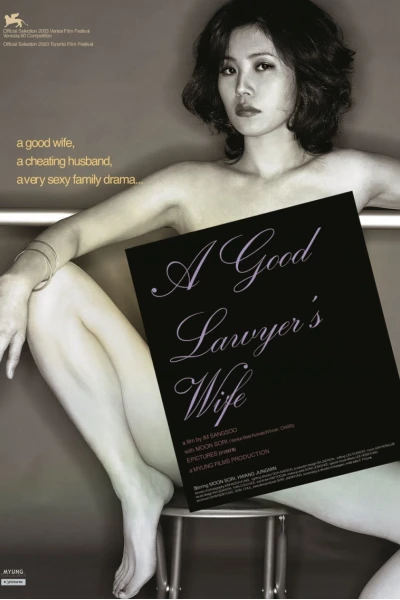 Những đam mê của cô vợ luật sư (A Good Lawyer's Wife)
