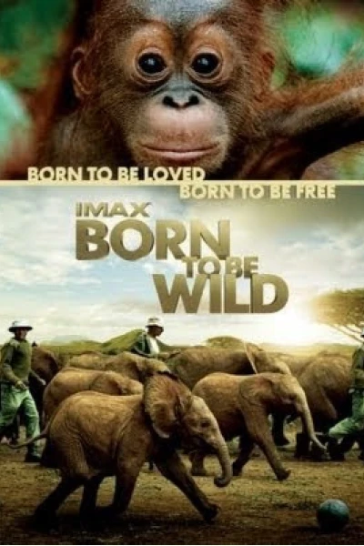 Những Loài Vật Mồ Côi (Born to Be Wild)