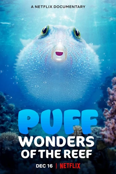 Puff: Rạn san hô kỳ diệu (Puff: Wonders of the Reef)