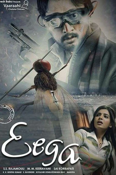 Ruồi Báo Thù (Eega)