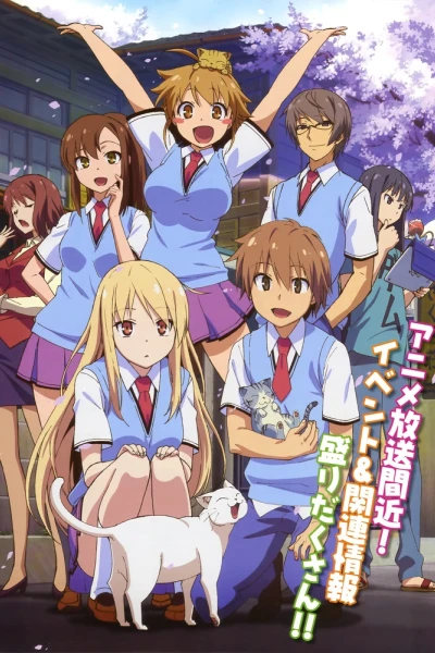 Sakurasou No Pet Na Kanojo (The Pet Girl of Sakurasou [Blu-ray])