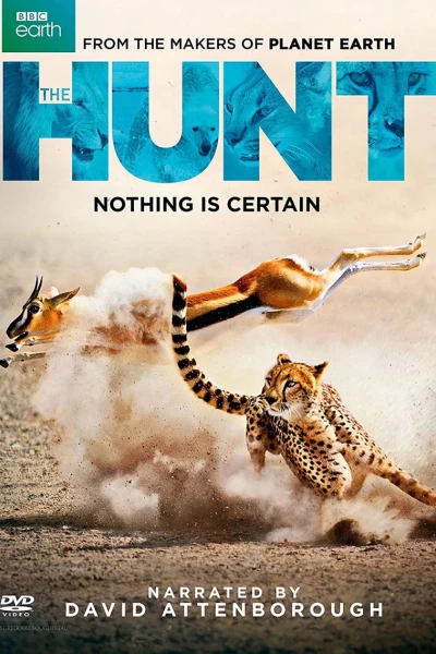 Săn Mồi (BBC: The Hunt)