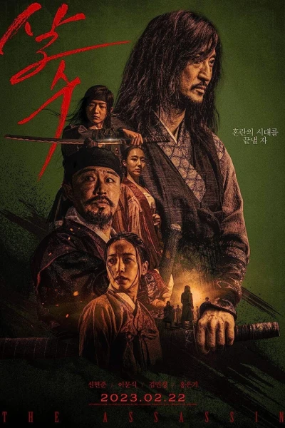 Sát thủ Yi Nan (The Assassin)