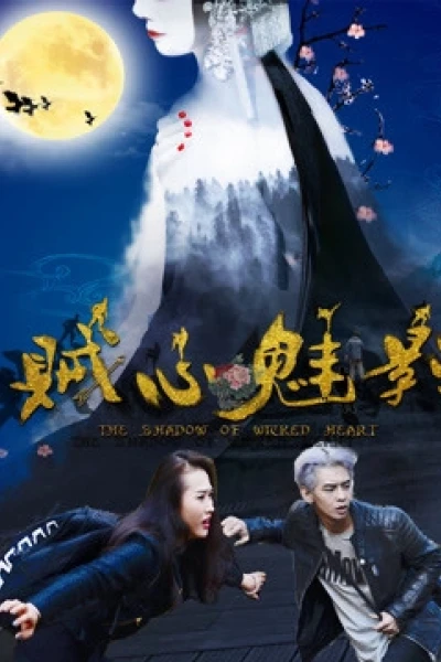 Tà tâm muội ảnh (Going Back to the True Love)
