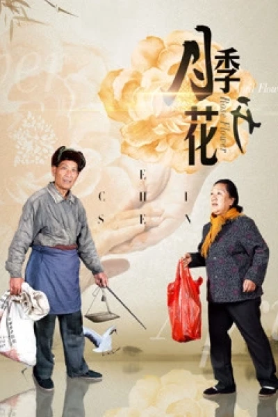 Tầm xuân nở (Mother-in-law in Town)