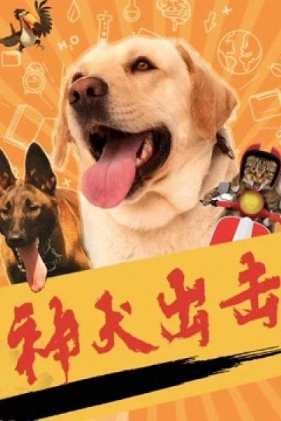 Thần chó tấn công (God dog attack)