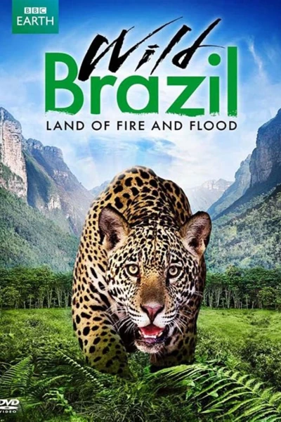Thiên Nhiên Brazil Hoang Dã (Wild Brazil)