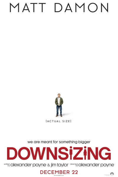 Thu nhỏ (Downsizing)