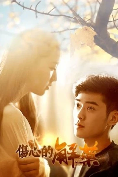 Thuốc Chữa Đau Thương (An Antidote For the Grieved)