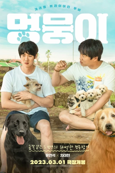 Tìm Nhà Cho Boss (My Heart Puppy)