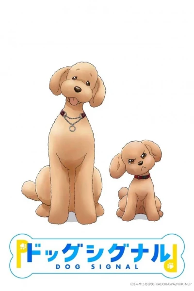 Tín Hiệu Cún Cưng (Dog Signal)