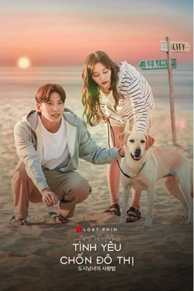 Tình Yêu Chốn Đô Thị (Lovestruck in the City)