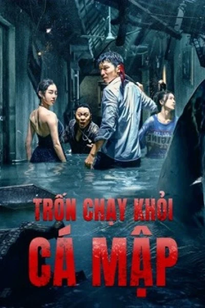 Trốn Chạy Khỏi Cá Mập (Escape of Shark)