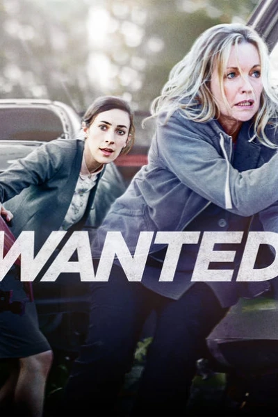 Truy sát (Phần 3) (Wanted (Season 3))