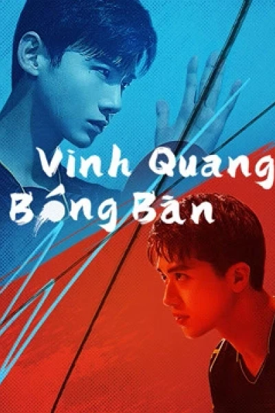 Vinh Quang Bóng Bàn (PING PONG)