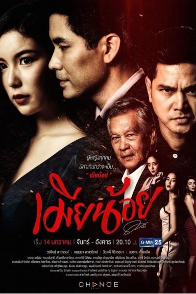 Vợ Bé (The Mistress)