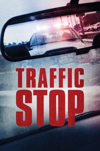 Vụ Dừng Xe (Traffic Stop)