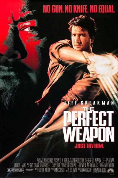 Vũ Khí Hoàn Hảo (The Perfect Weapon)