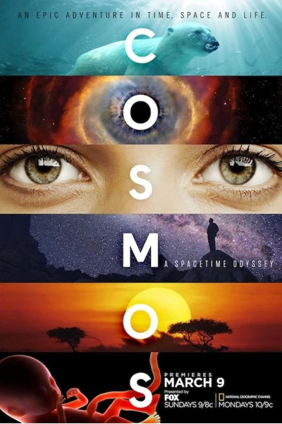 Vũ Trụ Kỳ Diệu Phần 1 (Cosmos: A SpaceTime Odyssey (Season 1))