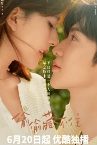 Vụng Trộm Không Thể Giấu (Hidden Love)