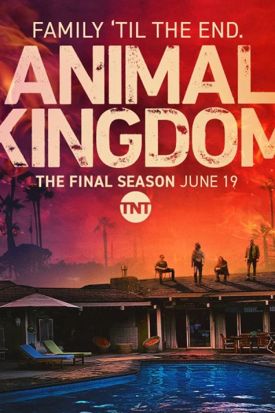 Vương quốc động vật (Phần 6) (Animal Kingdom (Season 6))