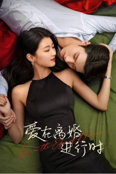 Yêu Khi Sắp Ly Hôn (Love in the Edge of Divorce)