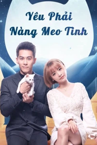 Yêu Phải Nàng Meo Tinh (Falling in Love With Cat)