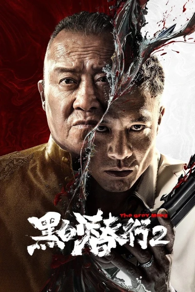 Đặc Vụ Vô Hình 2 (The Grey Men 2)