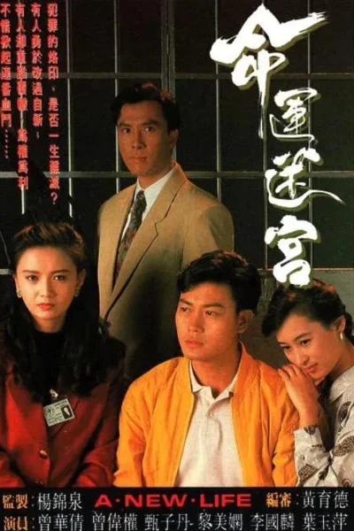 Vận Mệnh Mê Cung (A New Life)