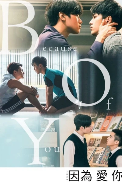 Bởi Vì Yêu 2020 (Because of You)