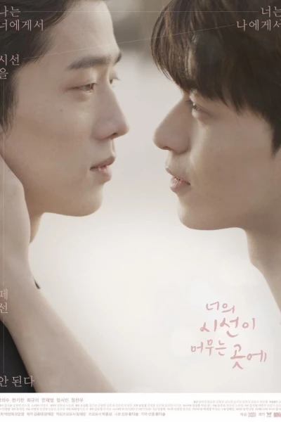 Nơi Ánh Nhìn Lưu Lại (Where Your Eyes Linger)