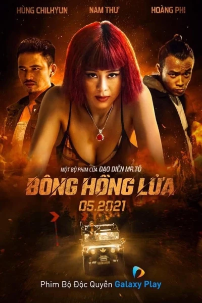 Bông Hồng Lửa (A Phoenix From The Ashes)