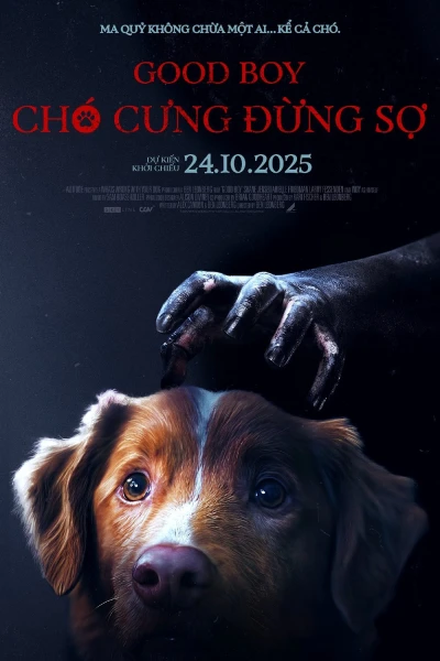 Chó Cưng Đừng Sợ (Good Boy)