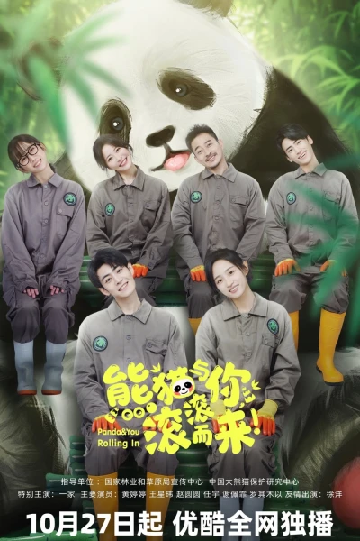 Gấu Trúc Và Bạn, Lăn Đến Đây! (Panda & You Rolling In)