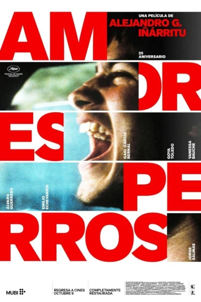 Kẻ Vô Đạo (Amores Perros)