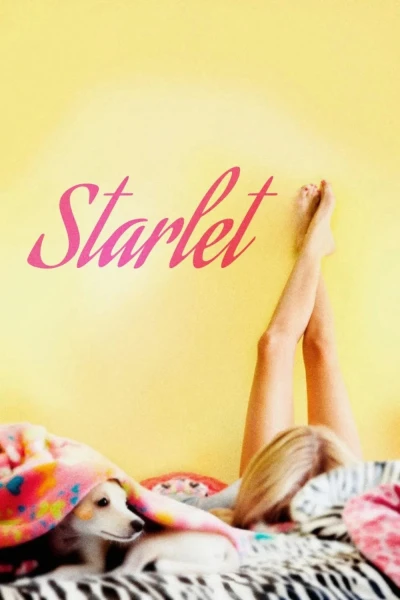 Ngôi sao (Starlet)