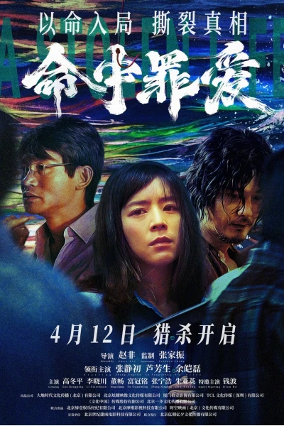 Định Mệnh Tình Yêu (A Stolen Life)