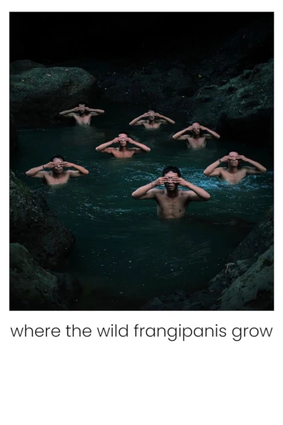 Nơi hoa sứ dại mọc (Where the Wild Frangipanis Grow)