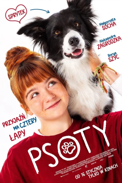 Psoty