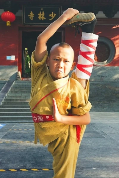 Đại Náo Thiếu Lâm Tự (The Shaolin Temple Boy)