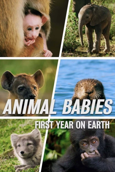 Những Sinh Linh Non Nớt: Năm Đầu Tiên Trên Trái Đất (Animal Babies: First Year On Earth)